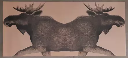 TARKKA 24045 PARI (2KPL) - Ampumataulut - I5121 - 1