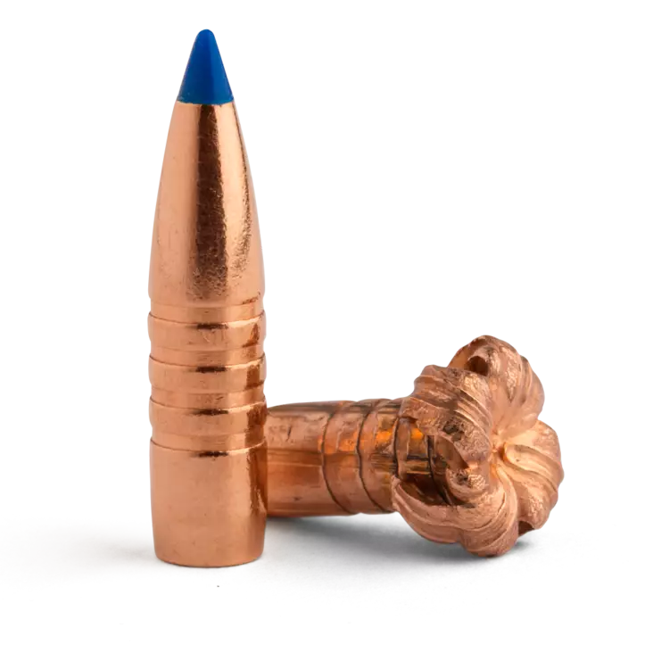 BARNES TTSX 30368 .30 165GR. - Luodit - ZZZ0008941 - 1