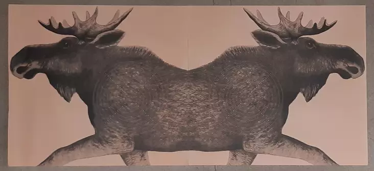 TARKKA 24045 PARI (2KPL) - Ampumataulut - I5121 - 1