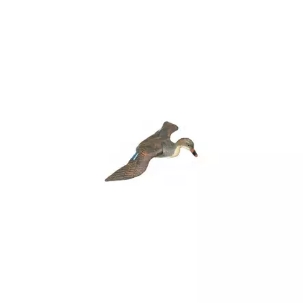 HEINÄSORSA UR/NAAR LASKEUTUVA - Houkutuskuvat - I4082 - 1