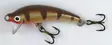 NILS MASTER INVINCIBLE 5 065 - Uistimet - G1623 - 1