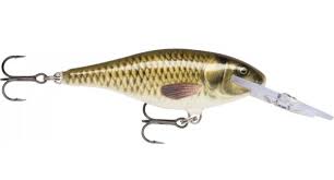 RAPALA SR-9 DEEP RUNNER CARP - Vaaput - G4483 - 1