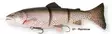 3D trout line thru swimbait m.sink-01 - Uistimet - G3854 - 1