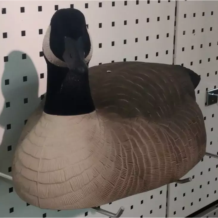 Kanadanhanhi kaave - Houkutuskuvat - I4184 - 1