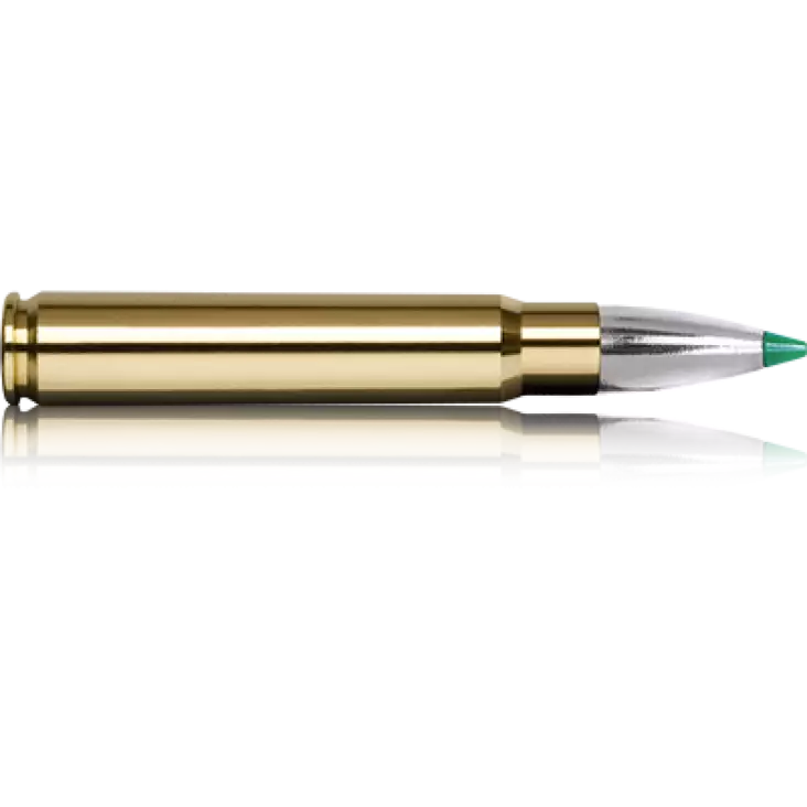 NORMA 9.3X62 Ecostrike 14,9G - Kaliiperi 9,3x62 - I4784 - 1