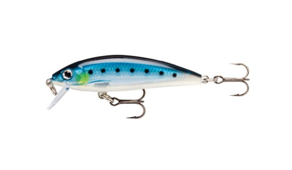 RAPALA XRCD-5 X-RAP COUNTDOWN BSRD - Vaaput - G1874 - 1