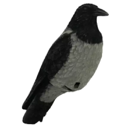 SAMETTI VARIS - Houkutuskuvat - I4206 - 1