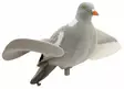 HOUKUTUSLINTU - Houkutuskuvat - I4226 - 1