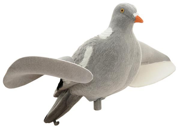 HOUKUTUSLINTU - Houkutuskuvat - I4226 - 1