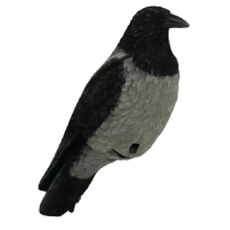 SAMETTI VARIS - Houkutuskuvat - I4206 - 1