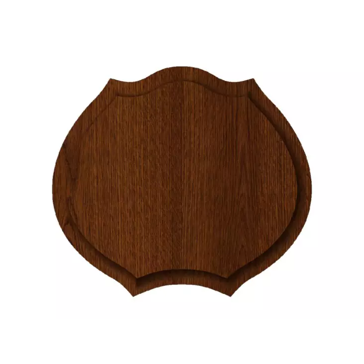 Villisika II 18cmX20cm - Trofeen taustat - I4596 - 1