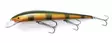 NILS MASTER INVINCIBLE 15 007 - Vaaput - G1637 - 1