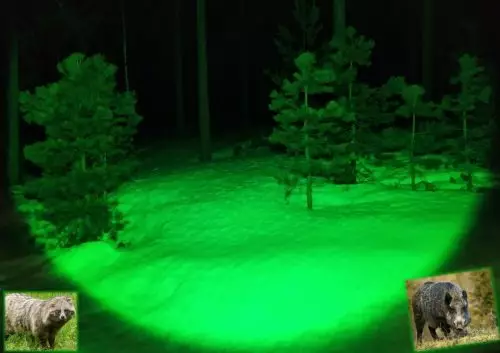 NITEforce Feeder Green Light vihreä led - Valaisimet ja otsalamput - ZZZ0013727 - 1