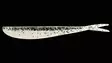 Lunker City Fin-s fish 5,75"#10 s&p silv - Jigit - G4968 - 1