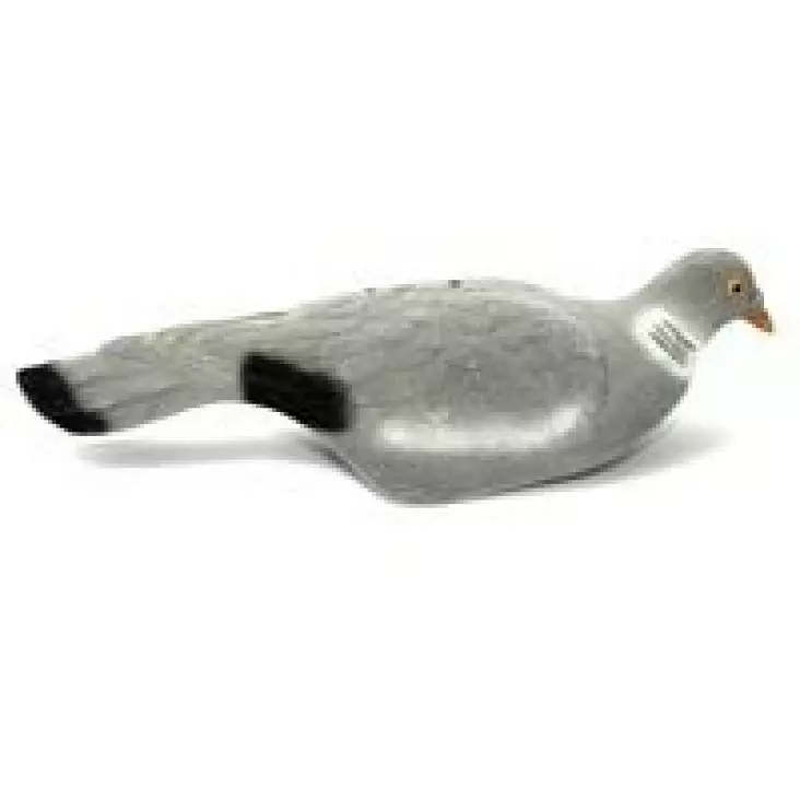 HOUKUTUSLINTU KYYHKY KUORIKUVA - Houkutuskuvat - I4198 - 1